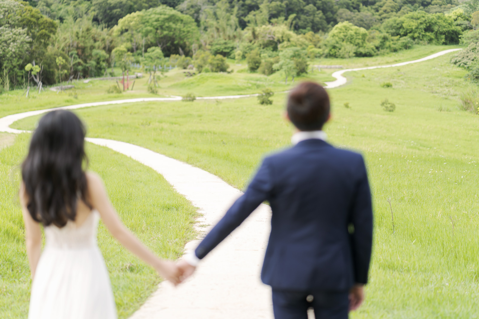 青青草原牽手走向彎曲小徑的婚紗照