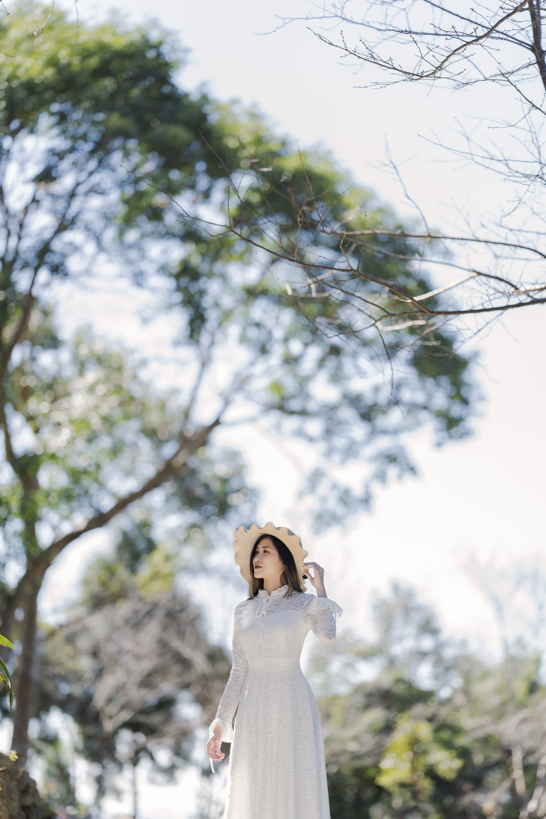 戴草帽女子仰望天空,背景為高大林木與藍天交錯的畫面