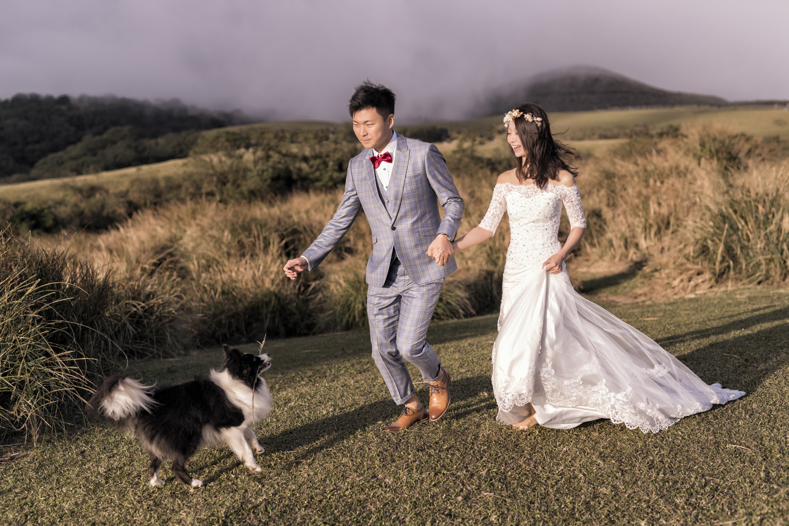 婚紗攝影推薦｜台北陽明山與花卉試驗中心｜攜手毛孩記錄幸福瞬間