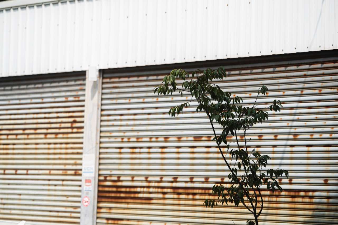 彰化老街道的鐵皮捲門與街角植物