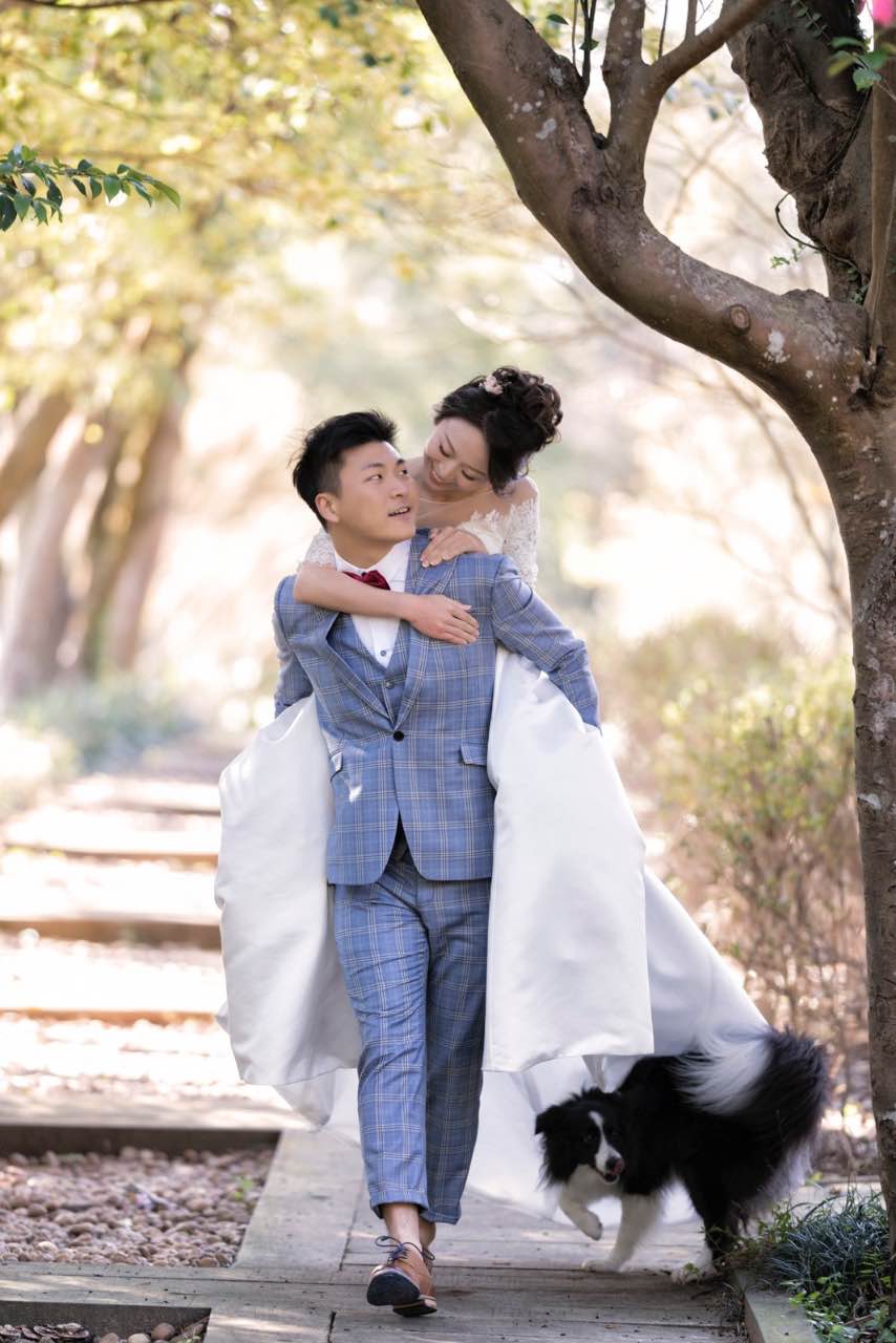 新郎背著新娘走在林道上,狗狗從婚紗裙擺下穿過