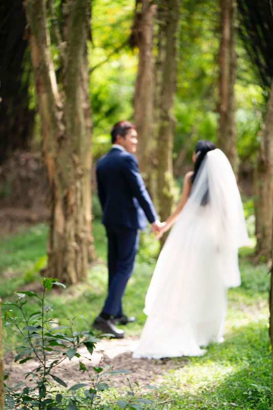 森林中牽手走路的新人背影,逆光自然氛圍